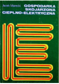 Gospodarka skojarzona cieplno elektryczna