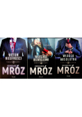 Wotum Nieufności /  Większość Bezwzględna /  Władza Absolutna