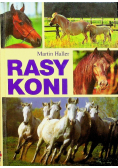 Rasy koni