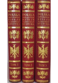 Polska jej dzieje i kultura tom 1 do 3 reprint z 1927 roku