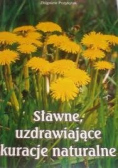 Sławne, uzdrawiające kuracje naturalne
