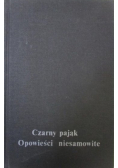 Czarny pająk