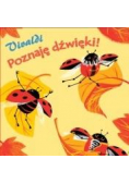 Poznaję dźwięki! - Vivaldi