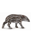 Tapir cielę bairda