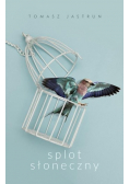 Splot słoneczny