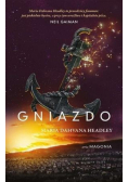 Magonia  Gniazdo
