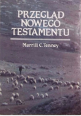 Przegląd Nowego Testamentu