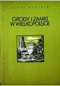 Groby i zamki w Wielkopolsce