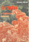 Grzyby w kulturze ludowej