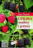 Uprawa maliny i jeżyny