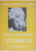 Śląsk w zabytkach sztuki Trzebnica