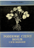 Podziemne części roślin i ich badanie