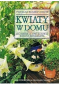 Kwiaty w domu Jak dobierać i pielęgnować