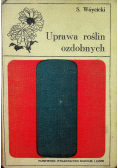Uprawa roślin ozdobnych