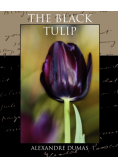 The Black Tulip