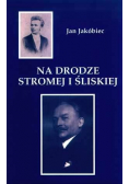 Na drodze stromej i śliskiej