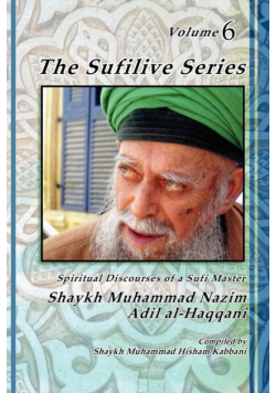The Sufilive Series, Volume 6