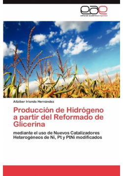 Producción de Hidrógeno a partir del Reformado de Glicerina