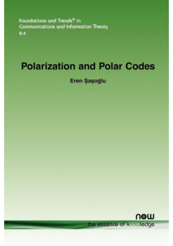 Polarization and Polar Codes