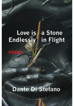 Love Is a Stone Endlessly in Flight