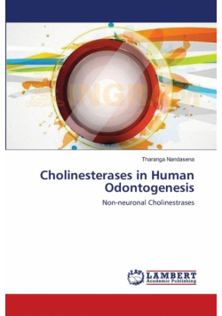 Cholinesterases in Human Odontogenesis