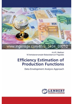 Efficiency Estimation of Production Functions