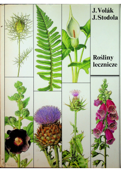 Rośliny lecznicze