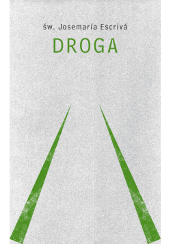 Droga