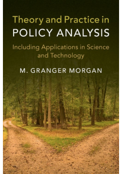 Theory and Practice in Policy Analysis