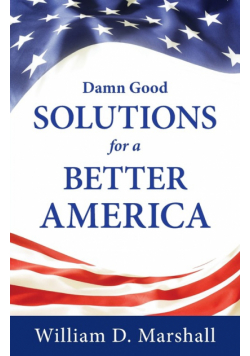 Damn Good Solutions for a Better America