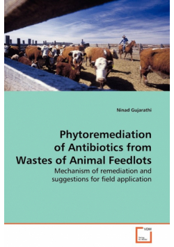 Phytoremediation of Antibiotics from Wastes of  Animal Feedlots