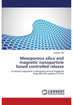 Mesoporous Silica and Magnetic Nanoparticle Based Controlled Release