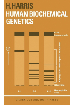 Human Biochemical Genetics