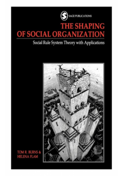 The Shaping of Social Organization