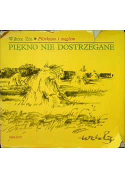 Piękno nie dostrzegane