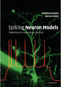 Spiking Neuron Models