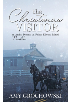 The Christmas Visitor