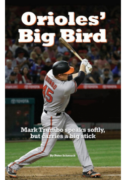 Orioles' Big Bird