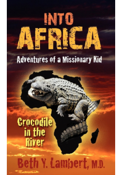 Into Africa