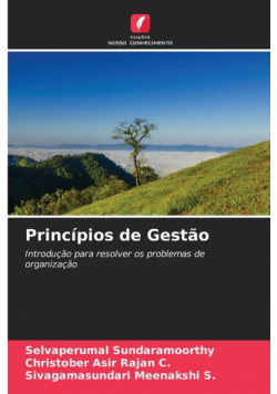 Princípios de Gestão
