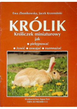 Królik króliczek miniaturowy