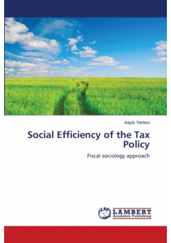 Social Efficiency of the Tax Policy