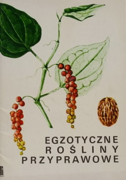 Egzotyczne rośliny przyprawowe
