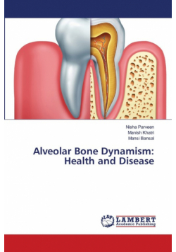 Alveolar Bone Dynamism