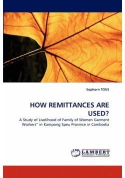 How Remittances Are Used?