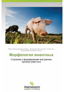 Morfologiya Zhivotnykh