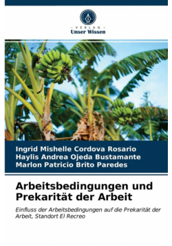 Arbeitsbedingungen und Prekarität der Arbeit