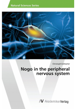 Nogo in the peripheral nervous system