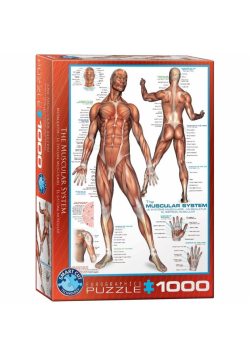 Puzzle 1000 Człowiek