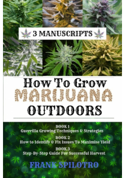 How To Grow Marijuana Outdoors